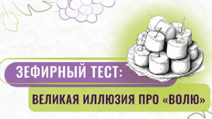 Зефирный тест-эксперимент и Что на самом деле формирует будущее подростка